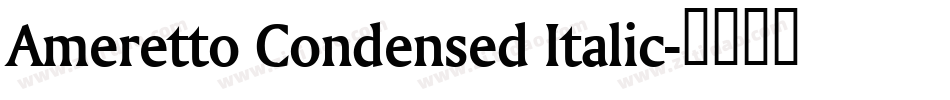 Ameretto Condensed Italic字体转换